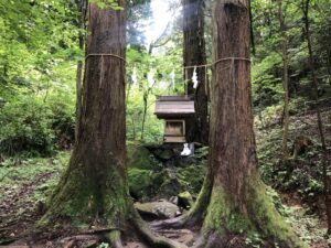 三本のご神木に囲まれた雰囲気のある小さなお社