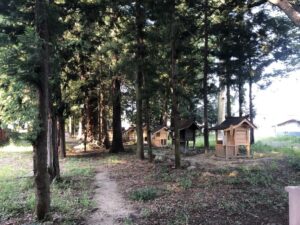 大井俣窪八幡神社の境内社群