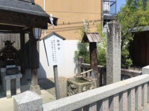 稲積神社の御神水