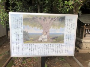 日枝神社水天宮の柊