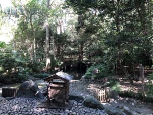 氷川神社の蛇の池