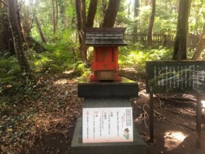 白浜神社の目の神様