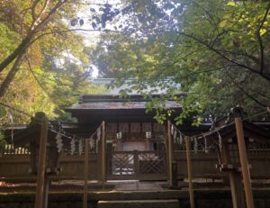白浜神社の本殿