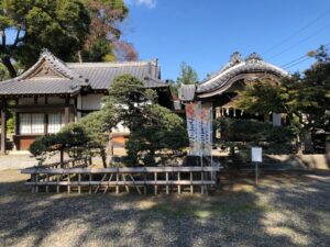 玉前神社の五葉松１