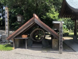 千年楠の洞洞木