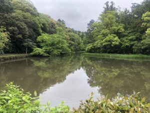 茜社から見た勾玉池