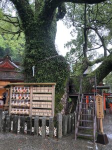 大樟胎内くぐり出口