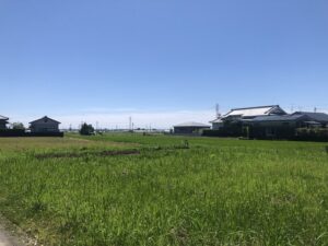 奈古神社から見える景色