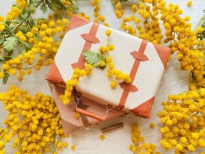ミモザとスーツケース｜開運旅行のイメージ