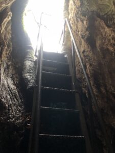 大樟胎内くぐりの中