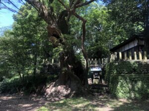 都萬神社境内の乳神