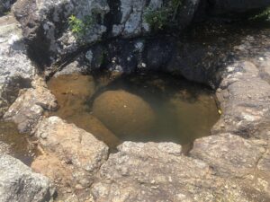 大御神社の龍神の霊
