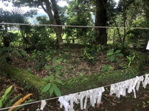 木花神社の無戸室の跡