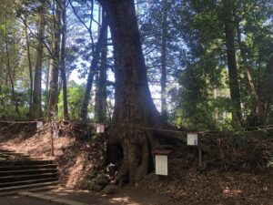 霧島岑神社のお熱の神サァ１