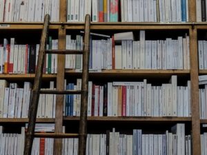 ファクトチェックに欠かせない本の存在のイメージ