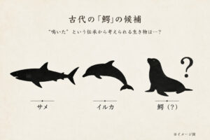 古代に鰐と呼ばれた生物の候補は？