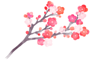 梅の花 見渡せば咲いている花はある